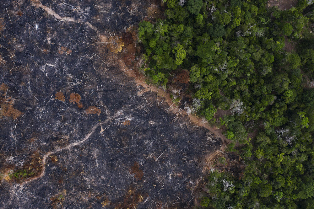 Dio Amazonije uništen u požarima, Foto: AP