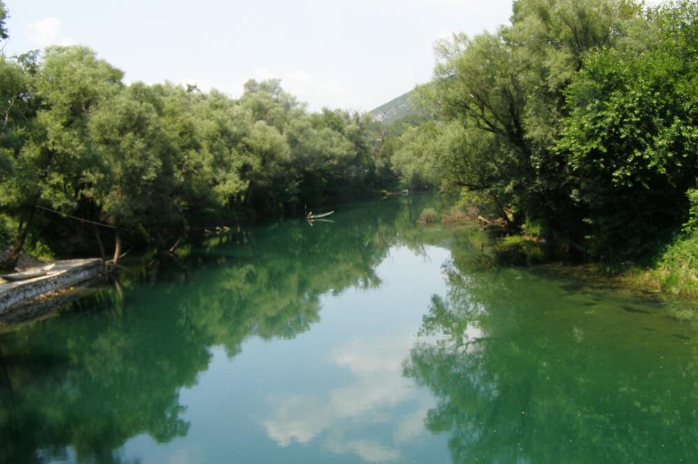 Kolektor goruća tema, kanalizacija se izliva u Zetu, Foto: Jelena Jovanović
