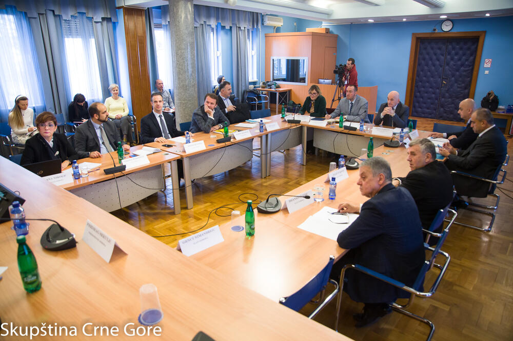 Sa sjednice odbora za ekonomiju, Foto: Igor Sljivancanin, Igor Sljivancanin