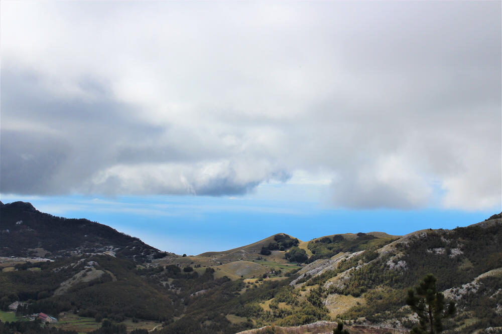 Ilustracija, Foto: Shutterstock