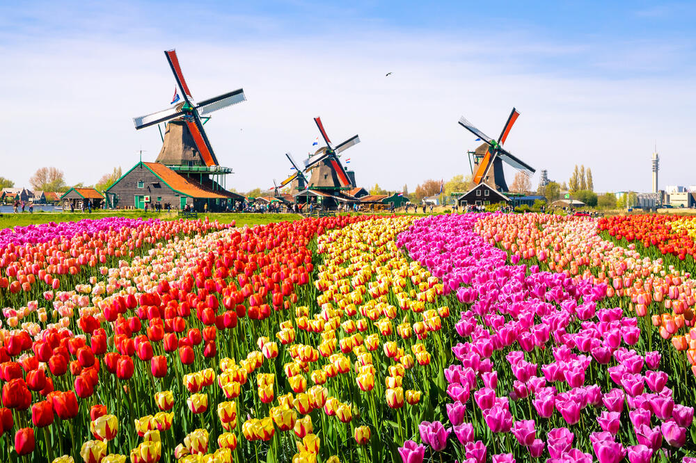 Holandija, ilustracija, Foto: Shutterstock