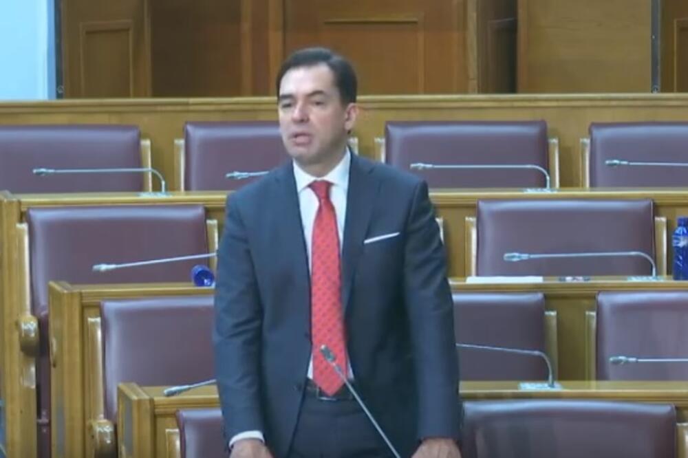 Pažin, Foto: Screenshot/Skupština Crne Gore