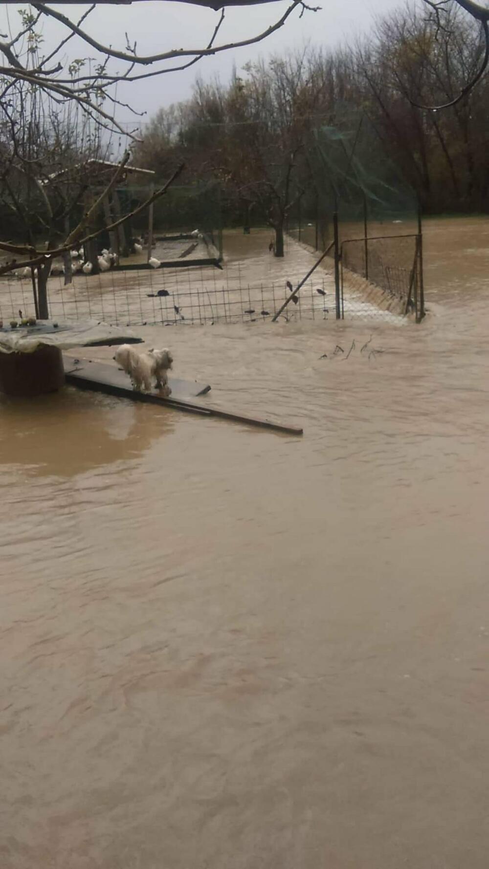 Putni pravac kotorski kružni tok-Radovići