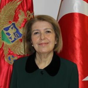Songul Ozan