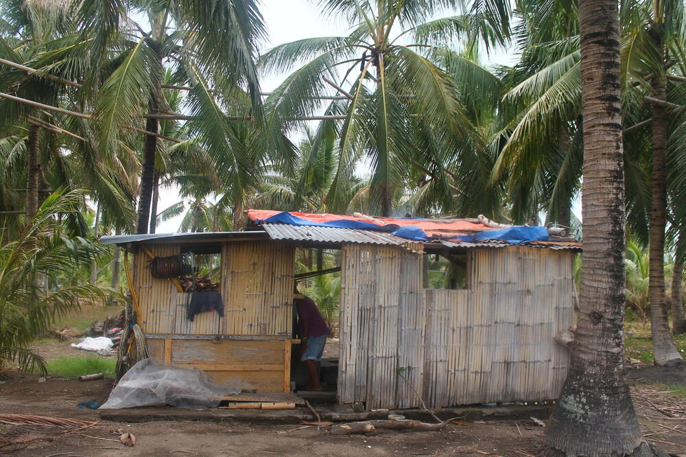 Farma lambanoga: Ilustracija, Foto: Wikimedia Commons