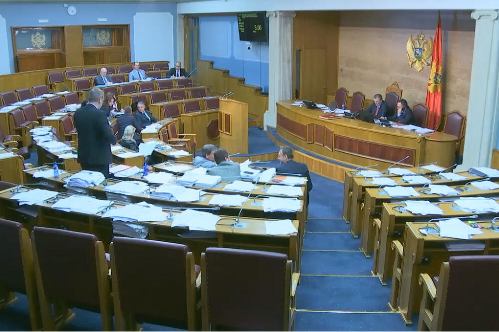 Sa današnje sjednice Skupštine, Foto: Screenshot