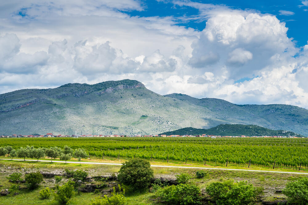 Podgorica: Ilustracija, Foto: Shutterstock
