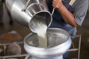 Prerada mlijeka na gazdinstvima podržana sa 1,8 miliona eura