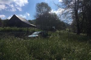 Vilama otjeran iz šavničkih Bara?