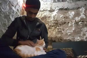 U ovom sirijskom gradu živi više mačaka nego ljudi