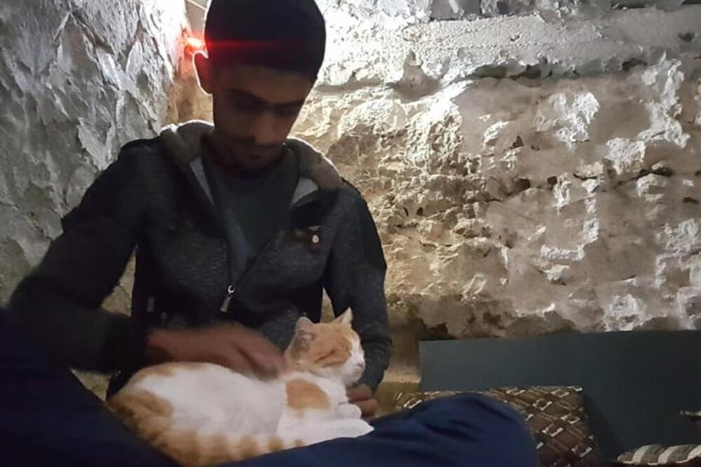 Salahova mačka, Foto: BBC