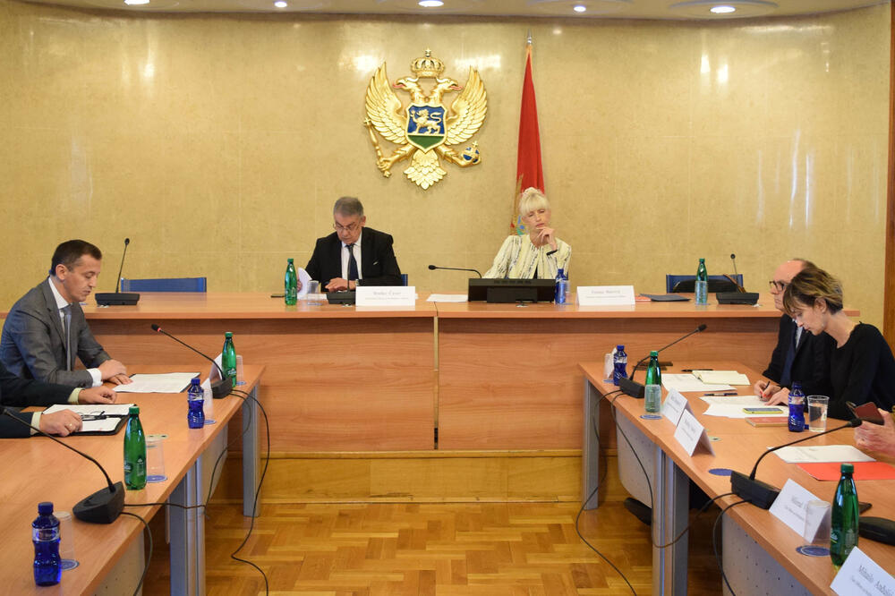 Odbor za odbranu i bezbijednost arhivska fotografija, Foto: Luka Zeković