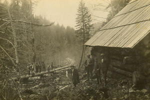 Država je prije 130 godina strogo štitila šume