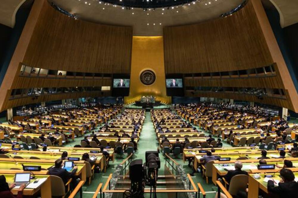 Savjet bezbjednosti UN, Foto: Shutterstock