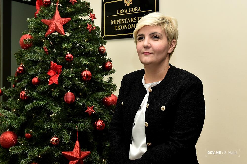 Nema povećanja cijene električne energije za domaćinstva i privredu: Dragica Sekulić, Foto: Saša Matić