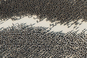 Institucije i podjele