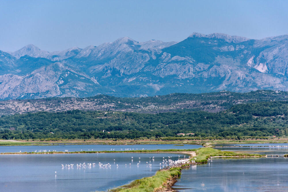 Salina, Foto: Privatna arhiva