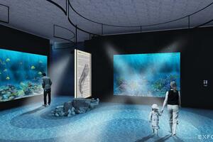 Aquarium in Kotor: On 300 square meters, more than 150 species of marine flora...
