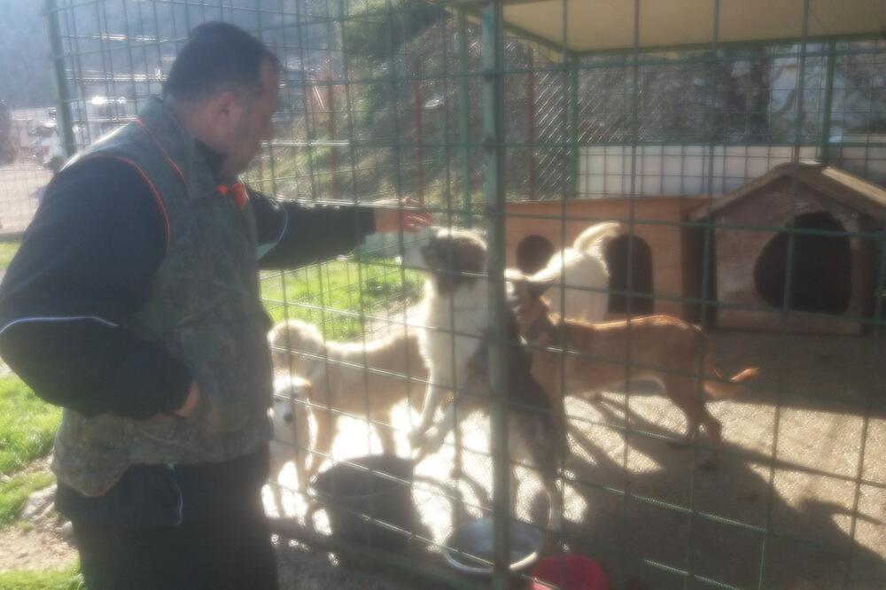 Azil za pse u Ulcinju, Foto: Samir Adrović