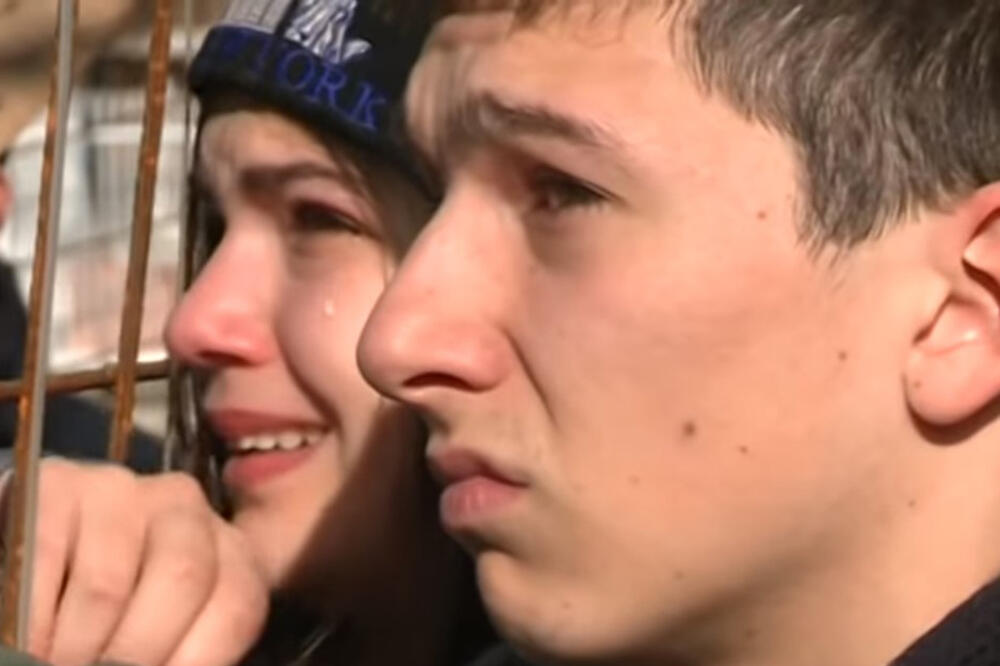 Sječa čempresa u Baru, Foto: Vijesti