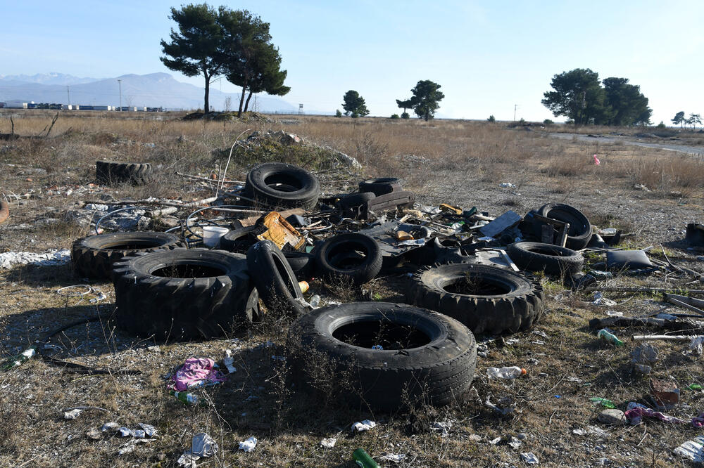 Gume na Ćemovskom polju, Foto: Boris Pejović