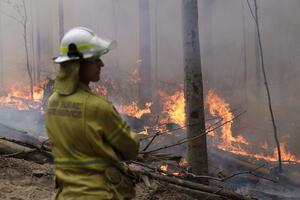 Američki stručnjak: „Australiji treba više požara“