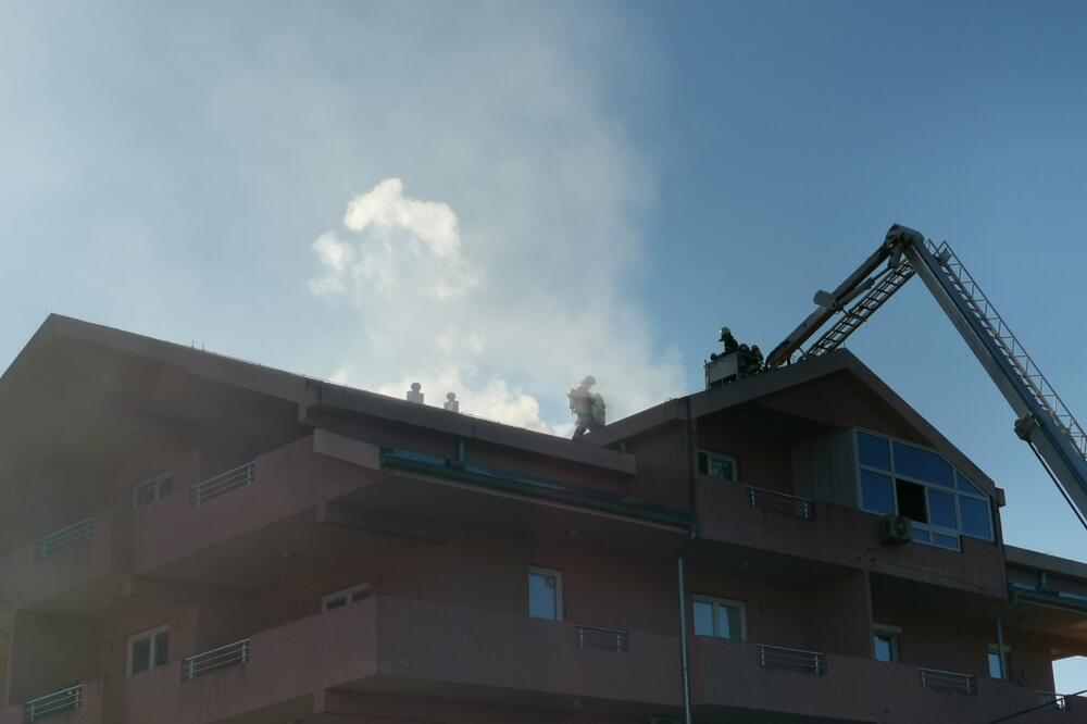 Intervencija trajala oko sat vremena, Foto: Siniša Luković