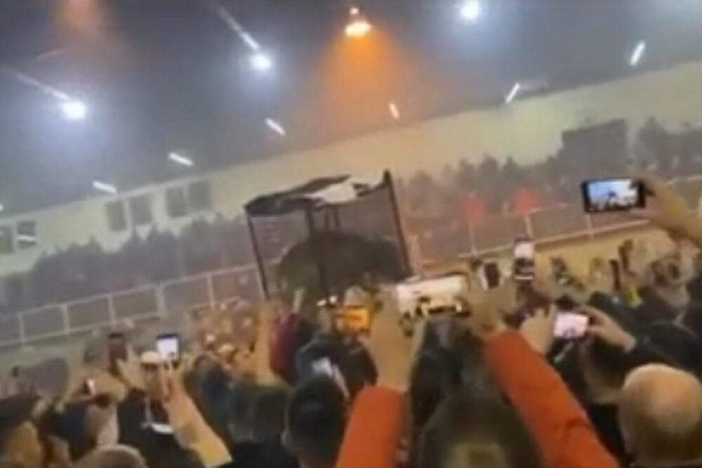 Navijači su životinju sa kavezom dizali u vazduh, Foto: Screenshot/Youtube