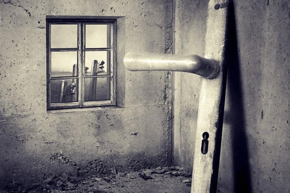 Sarolta Ban, Mađarska