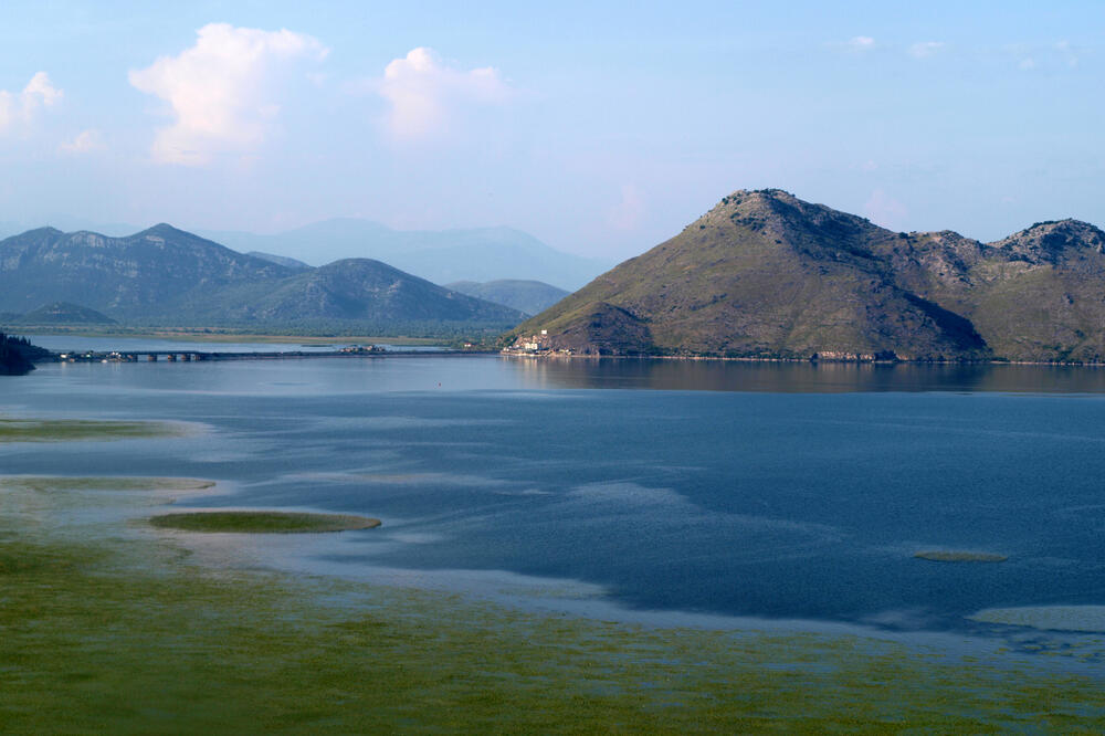NP Skadarsko jezero (Ilustracija), Foto: JPNPCG