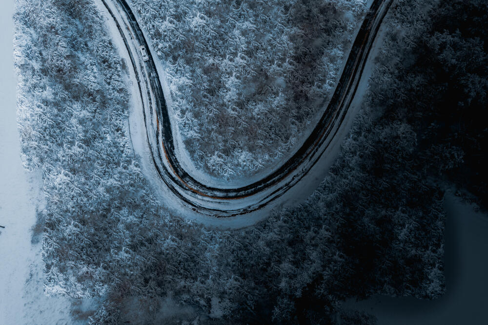 Poledica, Foto: Shutterstock