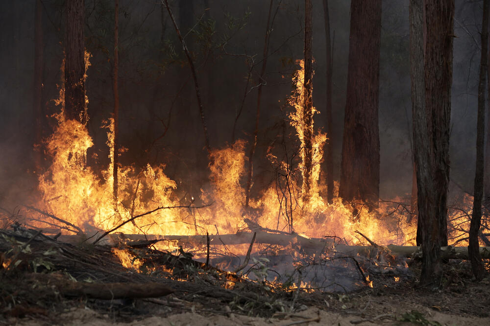 Požari u Australiji, Foto: BETA