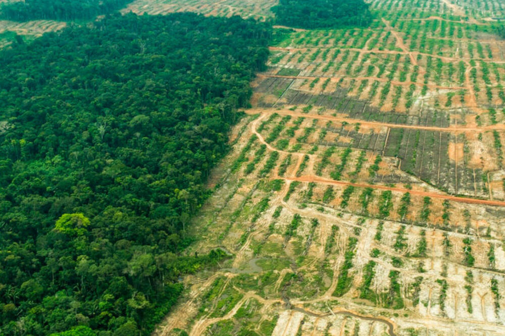 priroda, Foto: Printscreen