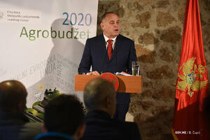 Simović: Agrobudžet iznosi 61 milion eura, domaćinski, evropski i...