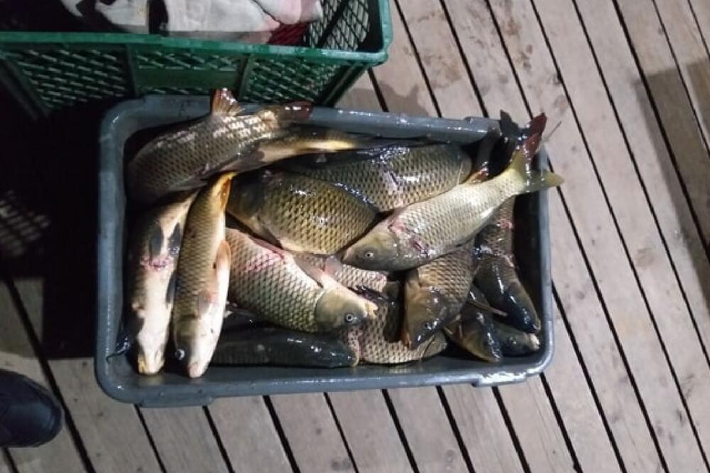 Četvoro uhvaćeno u krivolovu, Foto: NPCG