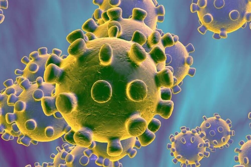 Novi tip koronavirusa otkriven u Vuhanu, Foto: Institut za javno  zdravlje, Institut za javno  zdravlje