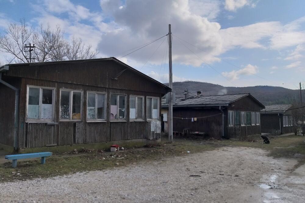 Trudbenik, Foto: Svetlana Mandić