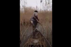 VIDEO Krivolov na Skadarskom jezeru: Strujom izlovljavao ribu