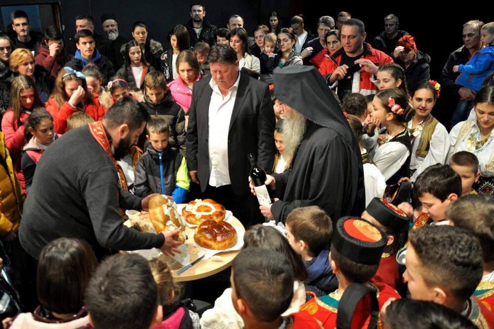 Svetosavska akademija Plužine