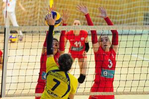 Lak posao za favorite