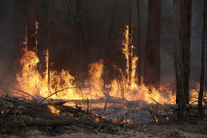 Požari u Australiji šire se ka Kanberi