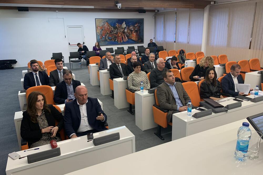 Detalj iz parlamenta, Foto: Vuk Lajović