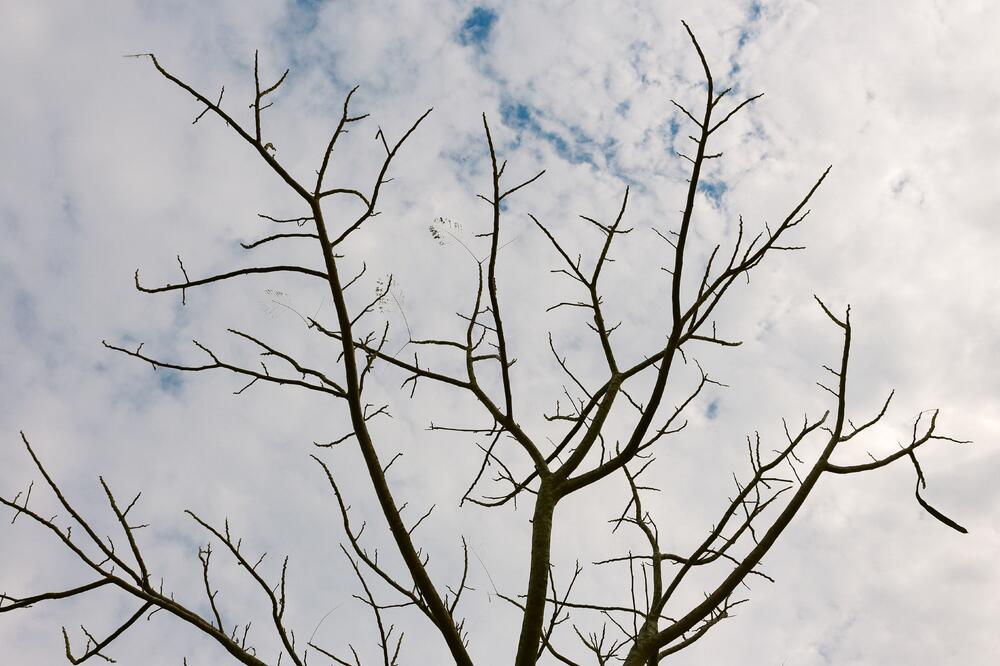 Ilustracija, Foto: Shutterstock