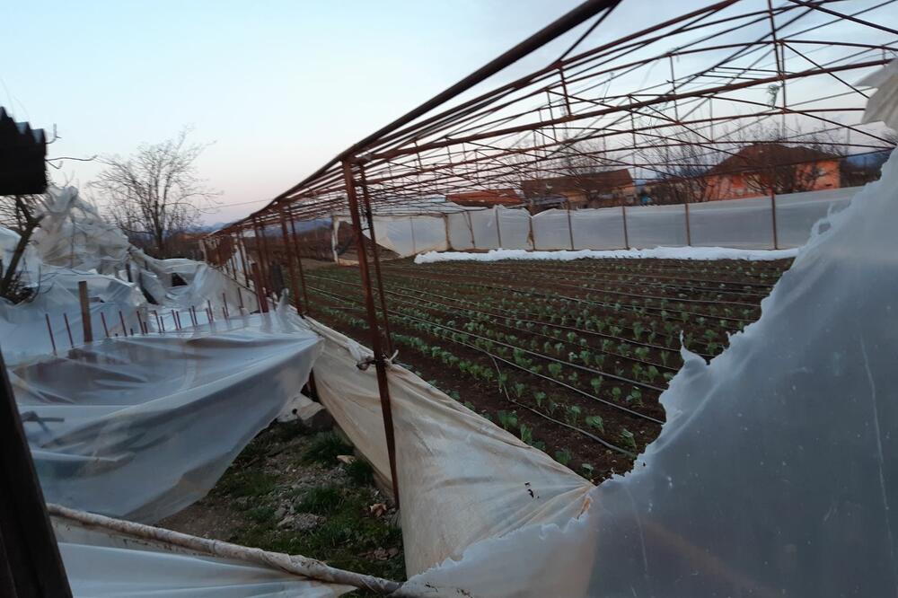 Jedan od oštećenih plastenika