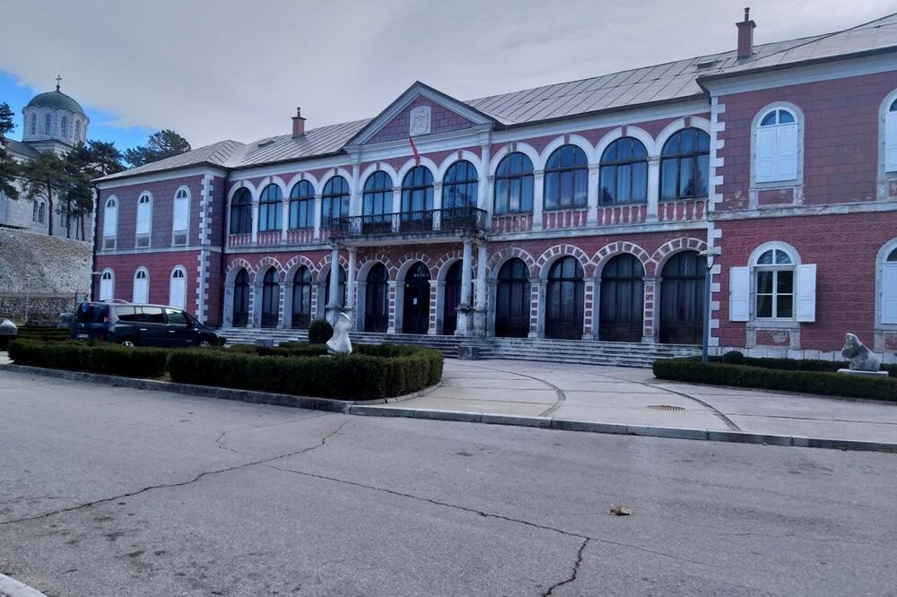 Predstoji ozbiljna sanacija zgrade Dvorca u Nikšiću, Foto: Svetlana Mandić