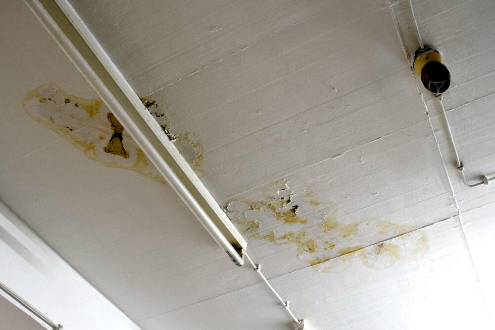 Katastrofalno stanje u depou Narodnog muzeja u maju 2018. -, Foto: Luka Zeković