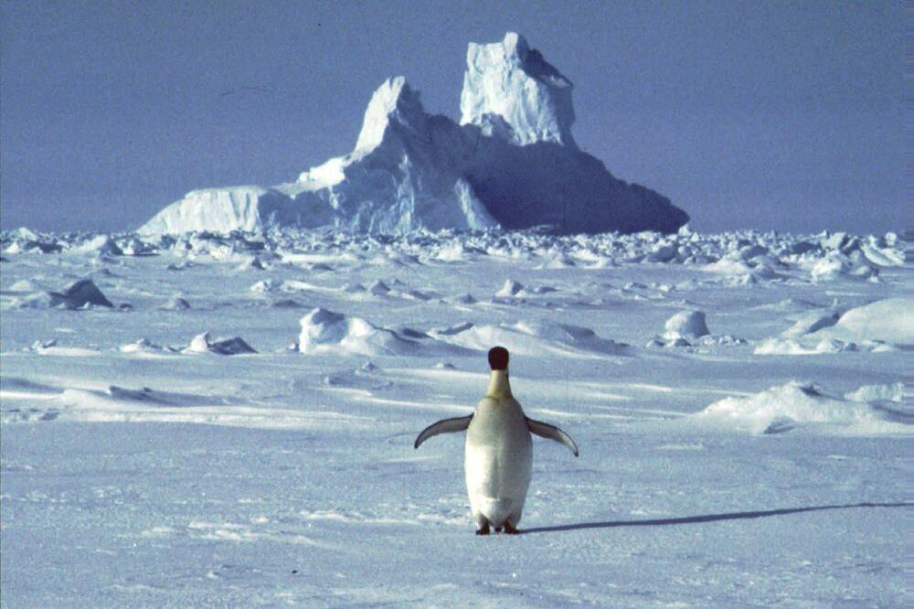 Antarktik, Foto: BETA/AP