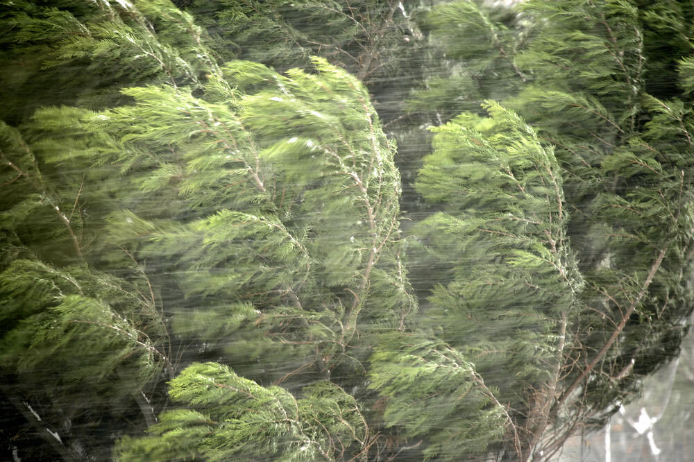 Ilustracija, Foto: Shutterstock