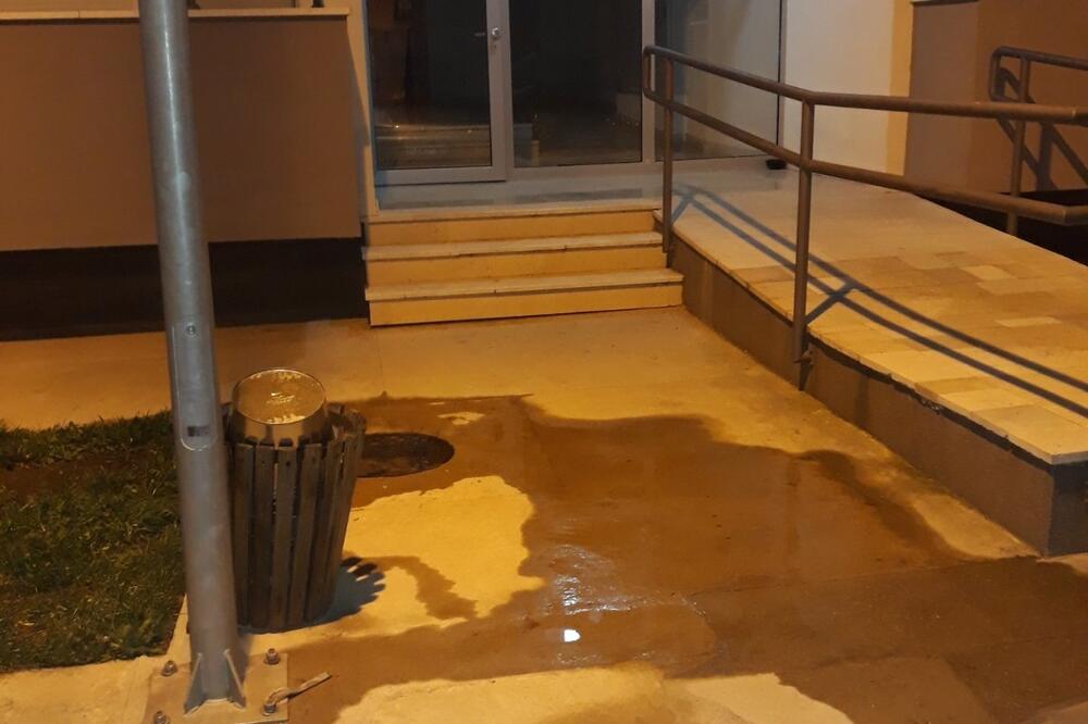 Fekalije ispred ulaza zgrade, Foto: Privatna arhiva