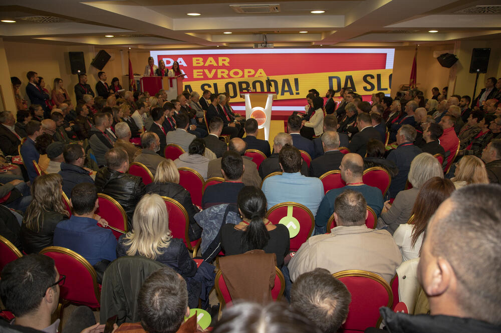 Demokratska Crna Gora, Foto: Demokratska Crna Gora